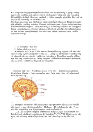 Các vùng hoạt động đặc trưng biến đổi suốt cả cuộc đời khi chúng ta gặp gỡ những
người mới, có những kinh nghiệm mới và tiếp thu các kỹ năng mới. Các vùng cũng
biến đổi khi mắc bệnh Alzheimer hay bệnh lý có liên quan phá hủy tế bào thần kinh và
các liên kết của chúng với các tế bào khác.
Não là cơ quan trung gian liên kết con người với thế giới bên ngoài. Tất cả những cảm
giác ghi nhận và những phản ứng đều được hình thành trước tiên qua những hoạt động
nối kết thần kinh trong não. Ví dụ: khi chúng ta ở trước một cảnh nào đó, không phải
là mắt chúng ta tự động nhìn thấy cảnh đó, mà hình ảnh ghi nhận được phải thông qua
sự phối hợp của những hoạt động thần kinh trong não để cho ta thấy được và nhận
diện cảnh đó là gì.
1. Hệ cuống não – tiểu não.
2. Cuống não (brain stem).
Cuống não hay còn gọi là thân não, có cấu tạo chất trắng ở ngoài, chất xám nằm
sâu bên trong (ngược với đại não và tiểu não). Cuống não kết nối não bộ với tủy sống
và kiểm soát cáccảm giác đói và khát, các chức năng tự động chẳng hạn như hô hấp,
tiêu hóa, nhịp tim và huyết áp. Cuống não gồm 3 phần chính là trung não (midbrain),
cầu não (pons) và hành não hay hành tủy (medulla):
– Brain: não bộ (= não) – Cerebrum: đại não (= vỏ não) – Diencephalon: gian não –
Cerebellum: tiểu não – Brain stem:cuống não – Dura: màng cứng – Cerebrospinal
fluid: dịch não tủy.
2.1. Trung não (midbrain): nằm dưới đại não ngay phía trước tiểu não, nối tiếp cầu
não ở dưới và gian não (diencephalon = Thalamus + Hypothalamus) ở trên. Trung
não điều hành những hoạt động cảm quan và các tuyến nội tiết.
2.2. Cầu não (pons): là phần tiếp theo của trung não, ngăn cách với hành não
bởi rãnh hành cầu là nơi xuất phát các dây thần kinh VI, VII, VIII. Phía trên, cầu não
ngăn cách với trung não (cuống đại não) bởi rãnh cầu cuống có dây thần kinh
V.
 