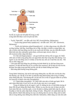 Sơ đồ các tuyến nội tiết phân bố trong cơ thể
(vùng dưới đồi được xem là tuyến nội tiết)
– Tuyến “Dưới đồi”: nơi dẫn xuất Ach, MT (Acetylcholine, Melatonine).
– Tuyến tùng [pineal body (epiphysis)]: nơi dẫn xuất 5NT, MT (Serotonin,
Melatonin).
– Tuyến yên [pituitary gland (hypophysis)]: có chức năng trong việc điều tiết
sự tăng trưởng, sinh dục, hoạt động của cơ bắp, của thận và nhiều cơ quan khác, tạo
sữa và kiểm soát hoạt động của tất cả các tuyến nội tiết khác. tạo các chất dẫn truyền
thần kinh não như endorphin (giảm đau), cortisone (gây stress); chứa và
tiết oxytoxin (chức năng tính dục).
4.4. Hải mã (hippocampus) – còn gọi là hồi hải mã hay hồi cá ngựa, là 2 khối
chất xám có hình cong giống như con ngựa biển nằm bên trong thuỳ thái dương. Con
người và các loài động vật có vú khác có hai hải mã, mỗi cái ở một bán cầu não. Hải
mã có chức năng sau:
– Liên quan đến hoạt động lưu giữ thông tin hình thành ký ức dài hạn (long-term
memory: trí nhớ dài hạn) hay ký ức sự kiện (fact memory), đó là tàng trử mọi tin tức
đã được thu nhận trong quá khứ mà bây giờ đã trở thành những hoài niệm.
– Khả năng định hướng trong không gian.
Trong bệnh Alzheimer, hải mã là một trong những khu vực đầu tiên của bộ não chịu
tổn thương; các vấn đề về trí nhớ và mất khả năng định hướng nằm trong số những
triệu chứng đầu tiên. Tổn thương đối với hải mã còn có thể có nguyên nhân từ sự thiếu
ôxi (anoxia) và bệnh viêm não (encephalitis).
4.5. Hạnh nhân (amygdala): là 2 khối chất xám nhỏ có hình quả hạnh. Đó là
một chùm thần kinh, là nơi xử lý các yếu tố gây cảm xúc ở con người.
Trong số những tin tức do ngoại vi gửi về, những tin tức có tính khẩn trương sẽ
được Đồi thị gửi thẳng đến Hạnh nhân. Nhiệm vụ của cấu trúc này là tham cứu kho
hoài niệm Hải mã, ở sát bên cạnh, và tức thì phát ra những mệnh lệnh cấp tốc, để các
bộ phận có liên hệ, phải chấp hành, không trì hoãn. Đồng thời với mệnh lệnh cấp tốc
được phát đi, Hạnh nhân phong tỏa mọi con đường đưa tin còn lại, bằng cách ra lệnh
nhả ra trong đường máu những hóa chất như Adrenaline, nhằm nâng cao mức độ canh
 