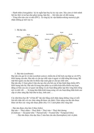 – Hạnh nhân (Amygdala): ký ức ngắn hạn hay ký ức xúc cảm. Xúc cảm có tính mãnh
liệt tức thời và tai hại như ghen tương, hận thù … khi tiếp cận với đối tượng.
– Vùng tiền trán của vỏ não (PFC): là vùng ký ức vận hành(working memory) ghi
nhận những gì mới xảy ra.
1. Hệ đại não.
5. Đại não (cerebrum):
Đại não còn gọi là vỏ não (cerebral cortex): chiếm đa số thể tích của hộp sọ với 85%
khối lượng của não. Đại não có cấu tạo chất xám ở ngoài và chất trắng bên trong. Bề
mặt bên ngoài của đại não là nhiều nếp cuộn gấp có cấu tạo chất xám.
Đại não dày 2-3mm gồm 6 lớp cấu tạo chủ yếu bởi các tế bào hình tháp chiếm 40%
khối lượng não bộ. Đại não là trung tâm phản xạ có điều kiện điều khiển mọi hoạt
động cơ bản của các cơ quan vận động và các hoạt động phức tạp như vùng hiểu tiếng
nói và chữ viết …, là trung tâm thần kinh trung ương với các hoạt động thần kinh cao
cấp có chức năng đặc biệt như tư duy, tình cảm …
Các nhà khoa học đã “vẽ bản đồ” đại não bằng cách nhận dạng những vùng có mối
liên kết chặt chẽ với các chức năng đã được xác định. Chức năng của đại não được
khảo sát theo các vùng não được phân chia. Có 2 cách phân chia vùng não:
– Đại não được chia làm 4 thùy (lobe).
Đại não = Thuỳ chẩm + Thuỳ đỉnh + Thuỳ trán + Thuỳ thái dương
[Celebrum = Occipital lobe + Parietal lobe + Frontal lobe +Temporal lobe]
– Đại não được chia dọc theo 2 nửa bán cầu não (hemisphere) trái và phải.
 