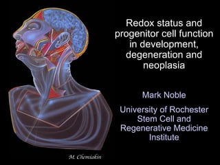 M. Chemiakin Redox status and progenitor cell function in development, degeneration and neoplasia Mark Noble University of Rochester Stem Cell and Regenerative Medicine Institute 