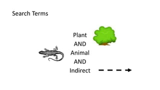 Search Terms
Plant
AND
Animal
AND
Indirect
 