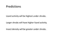 Predictions
Lizard activity will be highest under shrubs.
Larger shrubs will have higher lizard activity.
Insect density will be greater under shrubs.
 