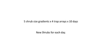 5 shrub size gradients x 4 trap arrays x 10 days
New Shrubs for each day.
 