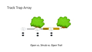 Track Trap Array
Open vs. Shrub vs. Open Trail
 