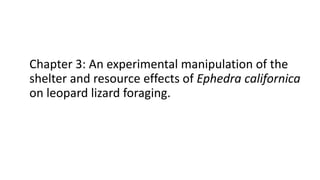 Chapter 3: An experimental manipulation of the
shelter and resource effects of Ephedra californica
on leopard lizard foraging.
 