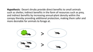 Hypothesis: Desert shrubs provide direct benefits to small animals
such as shelter, indirect benefits in the form of resources such as prey,
and indirect benefits by increasing annual-plant density within the
canopy thereby providing additional protection, making them safer and
more desirable for animals to forage at.
>
>
 