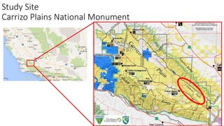 Study Site
Carrizo Plains National Monument
 