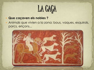 Que caçaven els nobles ?
 Animals que vivien a la zona: bous, vaques, esquirols,
porcs, eriçons...
 