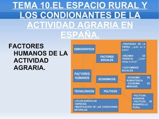 TEMA 10.EL ESPACIO RURAL Y LOS CONDIONANTES DE LA ACTIVIDAD AGRARIA EN ESPAÑA. ,[object Object]