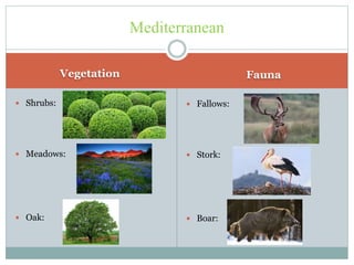 Vegetation Fauna
 Shrubs:
 Meadows:
 Oak:
Mediterranean
 Fallows:
 Stork:
 Boar:
 