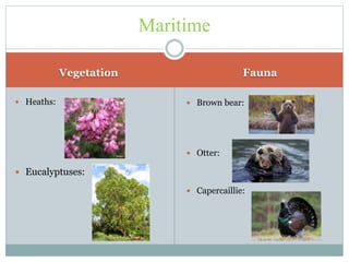 Vegetation Fauna
 Heaths:
 Eucalyptuses:
Maritime
 Brown bear:
 Otter:
 Capercaillie:
 