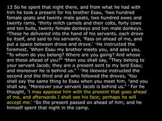 13 So he spent that night there, and from what he had with
him he took a present for his brother Esau, 14
two hundred
female goats and twenty male goats, two hundred ewes and
twenty rams, 15
thirty milch camels and their colts, forty cows
and ten bulls, twenty female donkeys and ten male donkeys.
16
These he delivered into the hand of his servants, each drove
by itself, and said to his servants, ‘Pass on ahead of me, and
put a space between drove and drove.’ 17
He instructed the
foremost, ‘When Esau my brother meets you, and asks you,
“To whom do you belong? Where are you going? And whose
are these ahead of you?” 18
then you shall say, “They belong to
your servant Jacob; they are a present sent to my lord Esau;
and moreover he is behind us.” ’ 19
He likewise instructed the
second and the third and all who followed the droves, ‘You
shall say the same thing to Esau when you meet him, 20
and you
shall say, “Moreover your servant Jacob is behind us.” ’ For he
thought, ‘I may appease him with the present that goes ahead
of me, and afterwards I shall see his face; perhaps he will
accept me.’ 21
So the present passed on ahead of him; and he
himself spent that night in the camp.
 