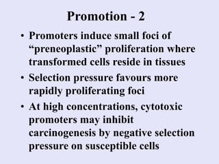 Promotion - 2
• Promoters induce small foci of
“preneoplastic” proliferation where
transformed cells reside in tissues
• Selection pressure favours more
rapidly proliferating foci
• At high concentrations, cytotoxic
promoters may inhibit
carcinogenesis by negative selection
pressure on susceptible cells
 