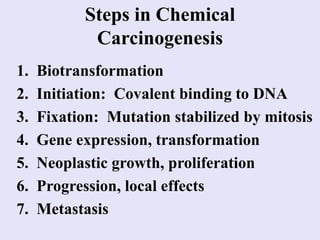 Steps in Chemical
Carcinogenesis
1. Biotransformation
2. Initiation: Covalent binding to DNA
3. Fixation: Mutation stabilized by mitosis
4. Gene expression, transformation
5. Neoplastic growth, proliferation
6. Progression, local effects
7. Metastasis
 