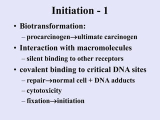 Initiation - 1
• Biotransformation:
– procarcinogenultimate carcinogen
• Interaction with macromolecules
– silent binding to other receptors
• covalent binding to critical DNA sites
– repairnormal cell + DNA adducts
– cytotoxicity
– fixationinitiation
 