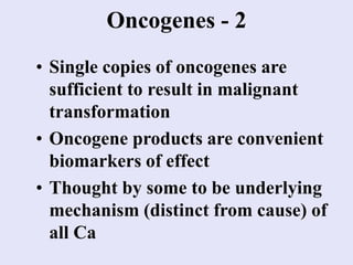 Oncogenes - 2
• Single copies of oncogenes are
sufficient to result in malignant
transformation
• Oncogene products are convenient
biomarkers of effect
• Thought by some to be underlying
mechanism (distinct from cause) of
all Ca
 