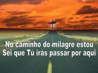 No caminho do milagre