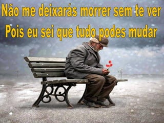 No caminho do milagre