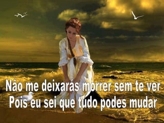 No caminho do milagre