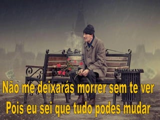 No caminho do milagre