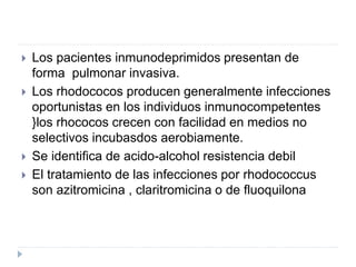  Los pacientes inmunodeprimidos presentan de
forma pulmonar invasiva.
 Los rhodococos producen generalmente infecciones
oportunistas en los individuos inmunocompetentes
}los rhococos crecen con facilidad en medios no
selectivos incubasdos aerobiamente.
 Se identifica de acido-alcohol resistencia debil
 El tratamiento de las infecciones por rhodococcus
son azitromicina , claritromicina o de fluoquilona
 