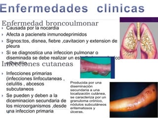 Enfermedad broncoulmonar
 Causada por la nocardia
 Afecta a pacienets inmunodeprimidos
 Signos:tos, disnea, fiebre ,cavitacion y extension de
pleura
 Si se diagnostica una infeccion pulmonar o
diseminada se debe realizar un estudio inmunologico
exhautivo
 Infecciones primarias
(infecciones linfocutaneas ,
celulitis , abcesos
subcutaneos
 Se pueden y deben a la
diceminacion secundaria de
los microorganismos ,desde
una infeccion primaria
Infecciones cutaneas
 