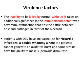 Virulence factors
• The inability to be killed by normal white cells takes on
additional significance in the immunoincompetant who
have WBC dysfunction that tips the battle between
host and pathogen in favor of the Nocardia.
• Patients with CGD have increased risk for Nocardia
infections, a double whammy where the patients
cannot generate an oxidative burst and some strains
have the ability to make superoxide dismutase.
 