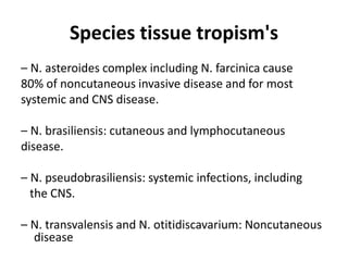 Species tissue tropism's
– N. asteroides complex including N. farcinica cause
80% of noncutaneous invasive disease and for most
systemic and CNS disease.
– N. brasiliensis: cutaneous and lymphocutaneous
disease.
– N. pseudobrasiliensis: systemic infections, including
the CNS.
– N. transvalensis and N. otitidiscavarium: Noncutaneous
disease
 