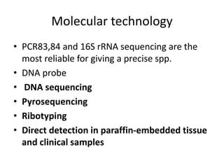 Molecular technology
• PCR83,84 and 16S rRNA sequencing are the
most reliable for giving a precise spp.
• DNA probe
• DNA sequencing
• Pyrosequencing
• Ribotyping
• Direct detection in paraffin-embedded tissue
and clinical samples
 