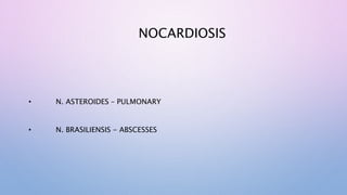 Nocardia, Actinomyces and  Streptomyces Latest1.pptx