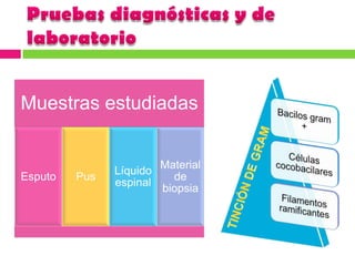 Patogénesis y datos clínicos