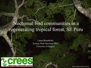Nocturnal bird communities in a
regenerating tropical forest, SE Peru
Laura Braunholtz
Zoology Work Placement MSci
University of Glasgow
Photo: Marcus Brent-Smith
 