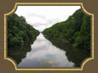 Rio Cocó 