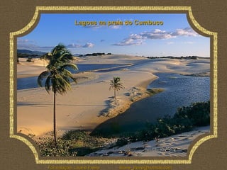 Lagoas na praia do Cumbuco 