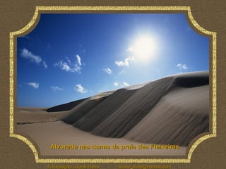 Alvorada nas dunas da praia das Fleixeiras 