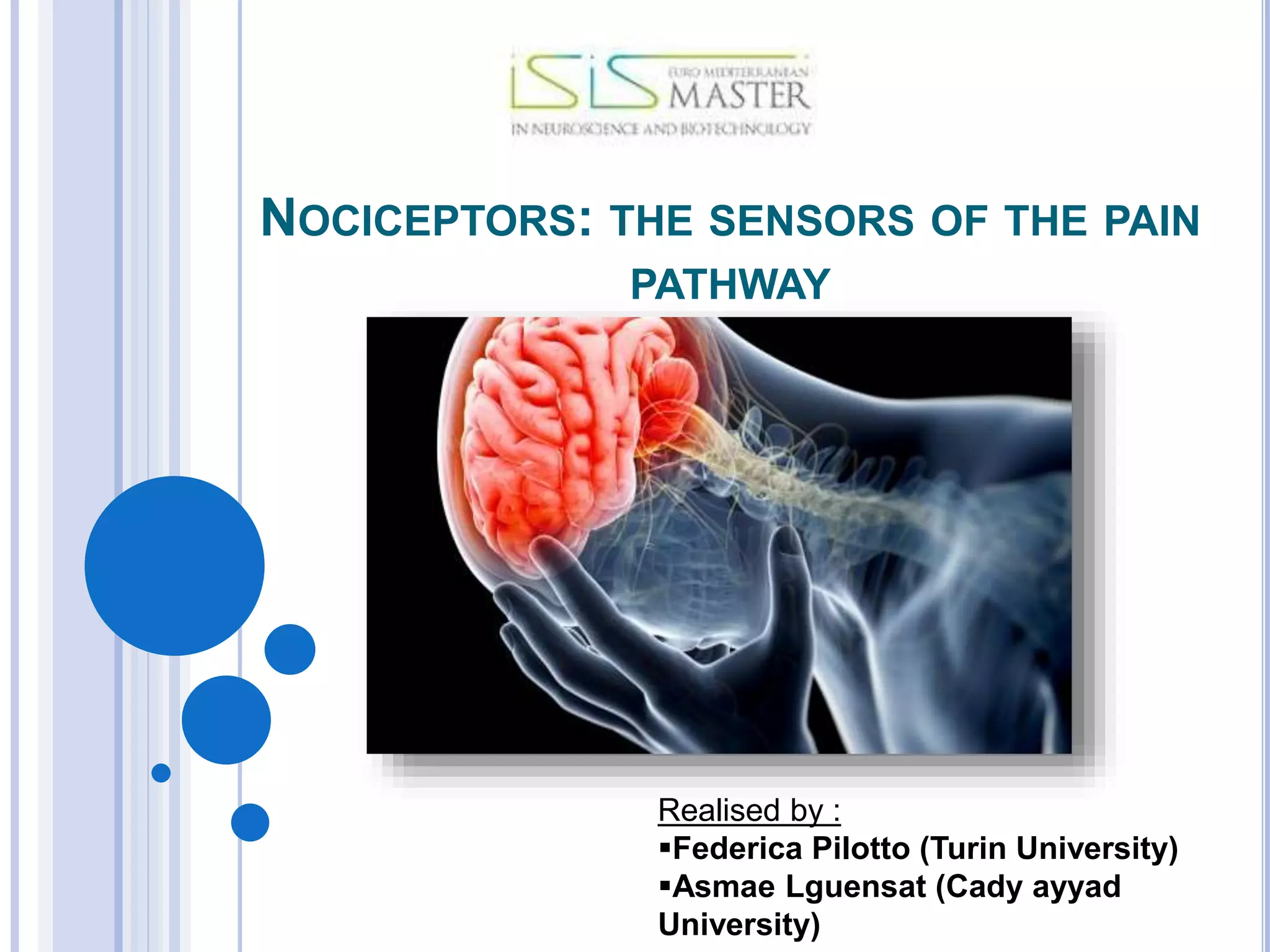 Nociceptors the sensors of the pain pathway | PPTX