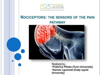 NOCICEPTORS: THE SENSORS OF THE PAIN
PATHWAY
Realised by :
Federica Pilotto (Turin University)
Asmae Lguensat (Cady ayyad
University)
 