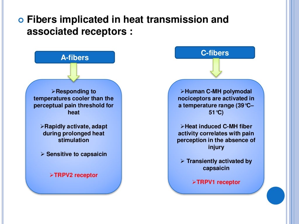 Nociceptors the sensors of the pain pathway