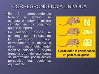 CORRESPONDENCIA UNÍVOCA Es la correspondencia término a término, se asegura de tener la misma cantidad en los conjuntos que se compara. La relación unívoca se construye sobre la base de la percepción: hacer corresponder un objeto a otro “sesomotrizmente” significa colocar un objeto frente a otro, de esa forma se determinan por la acción perceptiva dos conjuntos equivalente. 