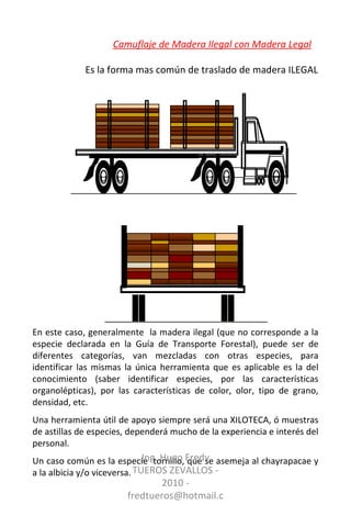 Camuflaje de Madera Ilegal con Madera Legal En este caso, generalmente  la madera ilegal (que no corresponde a la especie declarada en la Guía de Transporte Forestal), puede ser de diferentes categorías, van mezcladas con otras especies, para identificar las mismas la única herramienta que es aplicable es la del conocimiento (saber identificar especies, por las características organolépticas), por las características de color, olor, tipo de grano, densidad, etc.  Una herramienta útil de apoyo siempre será una XILOTECA, ó muestras de astillas de especies, dependerá mucho de la experiencia e interés del personal. Un caso común es la especie  tornillo, que se asemeja al chayrapacae y a la albicia y/o viceversa. Es la forma mas común de traslado de madera ILEGAL Ing. Hugo Fredy TUEROS ZEVALLOS - 2010 - fredtueros@hotmail.com 