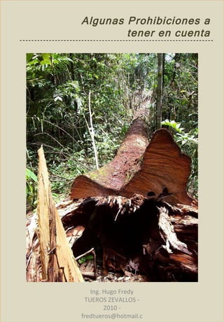 Ing. Hugo Fredy TUEROS ZEVALLOS - 2010 - fredtueros@hotmail.com Algunas Prohibiciones a tener en cuenta 