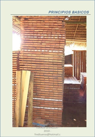 PRINCIPIOS BASICOS Ing. Hugo Fredy TUEROS ZEVALLOS - 2010 - fredtueros@hotmail.com 