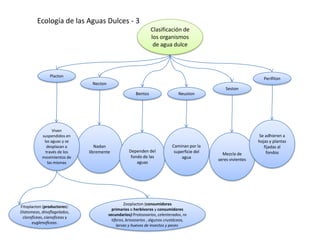 Ecología de las Aguas Dulces - 3
                                                                Clasificación de
                                                                los organismos
                                                                 de agua dulce



                Placton
                                                                                                                  Perifiton
                               Necton
                                                                                                 Seston
                                                       Bentos                  Neuston




                  Viven
            suspendidos en                                                                                     Se adhieren a
             las aguas y se                                                                                    hojas y plantas
               desplazan a       Nadan                                     Caminan por la                         fijadas al
              través de los   libremente           Dependen del             superficie del                         fondos
                                                                                               Mezcla de
            movimientos de                          fondo de las                agua         seres vivientes
               las mismas                              aguas




                                                 Zooplacton (consumidores
Fitoplacton (productores):
                                          primarios o herbívoros y consumidores
Diatomeas, dinoflagelados,
                                        secundarios):Protozoarios, celenterados, ro
 clorofíceas, cianofíceas y
                                          tíferos, briozoarios , algunos crustáceos,
      euglenofíceas.
                                             larvas y huevos de insectos y peces
 