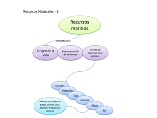 Recursos Naturales - 5

                                         Recursos
                                         marinos

                         Importancia

                                                           Fuente de
        Origen de la              Fuente esencial
                                                         recursos muy
            vida                   de alimentos
                                                            valiosos




                         Carbón
                                  Petróleo
                                             Gas
          Sirven para elaborar                      Uranio
           papel, cartón, cola,                              Algas
          alcohol, levaduras y
                abonos                                                  Sal
 