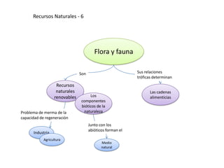 Recursos Naturales - 6




                                        Flora y fauna

                               Son                         Sus relaciones
                                                           tróficas determinan
                   Recursos
                   naturales                                     Las cadenas
                  renovables        Los                          alimenticias
                               componentes
                               bióticos de la
Problema de merma de la         naturaleza
capacidad de regeneración
                                     Junto con los
                                     abióticos forman el
      Industria
            Agricultura
                                            Medio
                                            natural
 