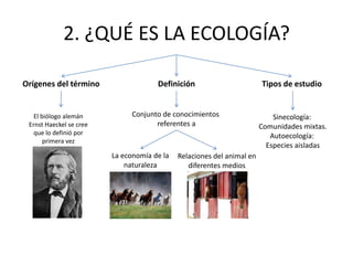 2. ¿QUÉ ES LA ECOLOGÍA?

Orígenes del término                  Definición                        Tipos de estudio


   El biólogo alemán           Conjunto de conocimientos                    Sinecología:
 Ernst Haeckel se cree                referentes a                      Comunidades mixtas.
   que lo definió por                                                      Autoecología:
       primera vez
                                                                          Especies aisladas
                         La economía de la   Relaciones del animal en
                             naturaleza         diferentes medios
 