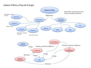 Cadena Trófica y Flujo de Energía

                                                                                              Cadena trófica
                                                                                                                                         Nivel trófico: posición de los seres
                                                                                                                                         vivos en la cadena alimenticia
Nivel trófico secundario
o superior                                                                                      Organismos
                         Detritívoros
                                                                                                                           Productores
                                                                             Consumidores
                                                                                                                           /autótrofos

                  Omnívoros
                                                                                                                                                                     Etc.
     Todos los niveles
                                                                                             Bacterias
                                    Carnívoros
                                                                                                                    Plantas                      Algas
                                                               Herbívoros

                                Nivel trófico secundario
                                o superior
                                                            Nivel trófico primario




                                                                                                            Consumidores
                                        Sol (fuente
                                         primaria)
                                                                                                                                  Energía y nutrientes inorgánicos
                                                           Energía          Energía y nutrientes inorgánicos
                                                                                                                                                Des-
                                                                        Productores                                                         componedores


                                                                                             Energía
                                                Nutrientes
                                                                     Energía                                 Energía
                                 Nutrientes
                                inorgánicos                                          Calor


                                                                                               Nutrientes
 