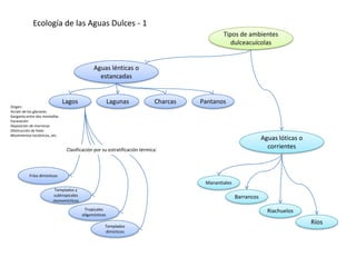 Ecología de las Aguas Dulces - 1
                                                                                             Tipos de ambientes
                                                                                                dulceacuícolas


                                              Aguas lénticas o
                                                estancadas


                               Lagos                    Lagunas            Charcas   Pantanos
Origen:
Acción de los glaciares
Garganta entre dos montañas
Excavación
Deposición de morrenas
Obstrucción de hielo
Movimientos tectónicos, etc.
                                                                                                                Aguas lóticas o
                                Clasificación por su estratificación térmica:
                                                                                                                  corrientes



           Fríos dimícticos
                                                                                      Manantiales
                        Templados y
                        subtropicales                                                               Barrancos
                        monomícticos
                                         Tropicales                                                               Riachuelos
                                        oligomícticos
                                                                                                                                  Ríos
                                                    Templados
                                                    dimícticos
 