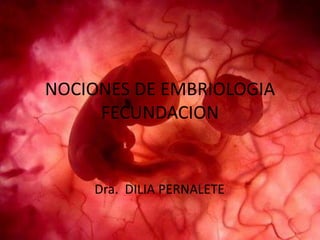 NOCIONES DE EMBRIOLOGIA
FECUNDACION
Dra. DILIA PERNALETE
 