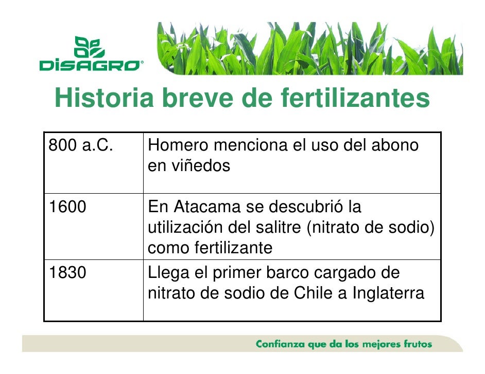 Fertilizantes Hidroponicos Chile